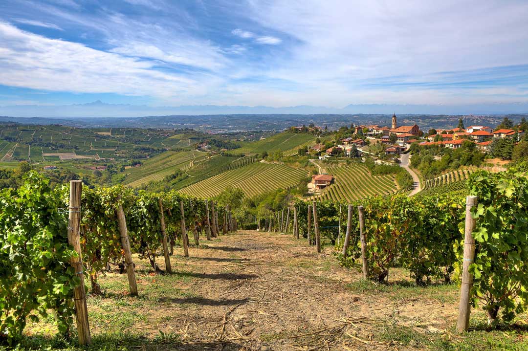 Langhe piemonte