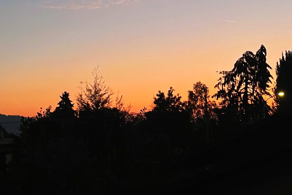 Tramonto con alberi e colline